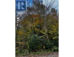 78178 LAVRANGUE DRIVE E - 1