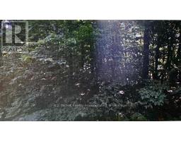 78178 LAVRANGUE DRIVE E - 10