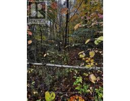 78178 LAVRANGUE DRIVE E - 8