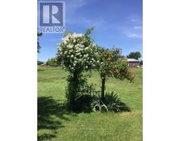 14 FAIRVIEW CRESCENT - 26