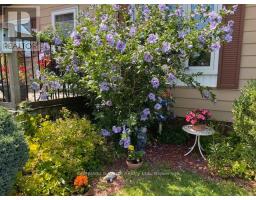 14 FAIRVIEW CRESCENT - 3