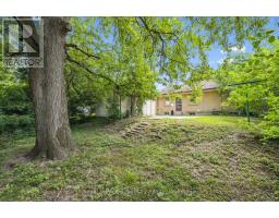 56 DOVER STREET - 41