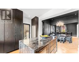 113 WILLIAM STREET - 13