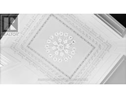 113 WILLIAM STREET - 5