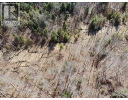 PT LT 31 CON 3 TOWER LINE - 15