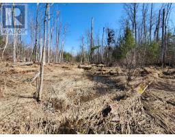 PT LT 31 CON 3 TOWER LINE - 3