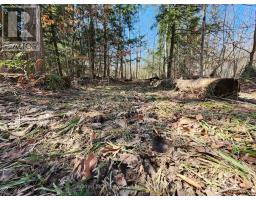 PT LT 31 CON 3 TOWER LINE - 4