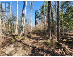 PT LT 31 CON 3 TOWER LINE - 5