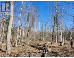 PT LT 31 CON 3 TOWER LINE - 6