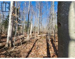 PT LT 31 CON 3 TOWER LINE - 7