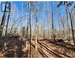 PT LT 31 CON 3 TOWER LINE - 8