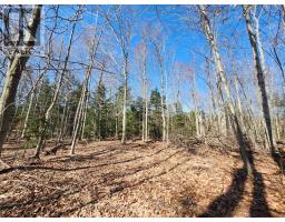 PT LT 31 CON 3 TOWER LINE - 9