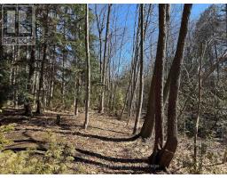 28 GEORGE STREET - 2