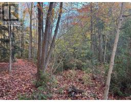 28 GEORGE STREET - 6