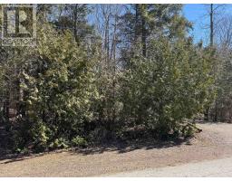 28 GEORGE STREET - 8