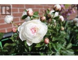 449 GREENFIELD AVENUE - 38