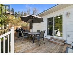 117 ANDREW STREET - 29