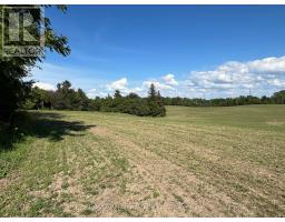 38012 MILL ROAD - 19