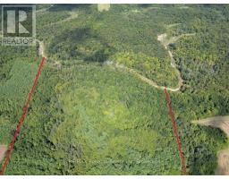 38012 MILL ROAD - 41