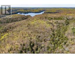 1667 Paint Lake Road, MLS X12150606