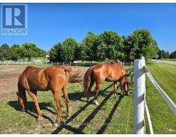 20076 Cherry Hill Road, MLS X12254156