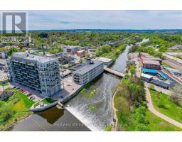 308 - 19 Guelph Avenue, MLS X12474926