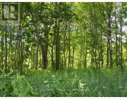 1511 GAINSBOROUGH ROAD - 9