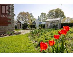 484 QUEEN STREET - 45