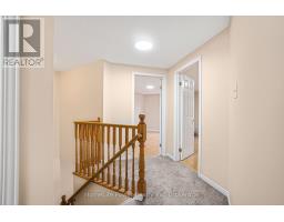 74 BLUE LACE CRESCENT - 23