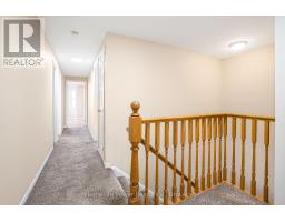 74 BLUE LACE CRESCENT - 24