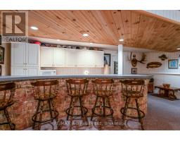 100 RED MAPLE LANE - 43