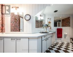 100 RED MAPLE LANE - 47