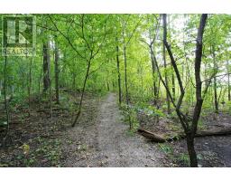 1206 - 55 GREEN VALLEY DRIVE - 41