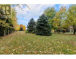 43488 CHISELHURST ROAD - 36