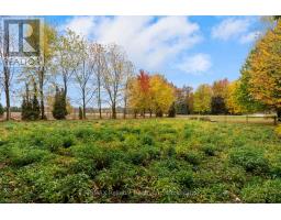 43488 CHISELHURST ROAD - 37