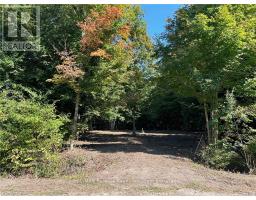 77347 Forest Ridge Road, MLS X10780847