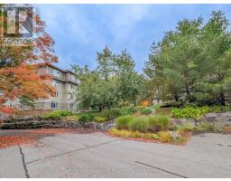 203 - 391b Manitoba Street, MLS X12420807