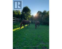 9 MILL ROAD - 45