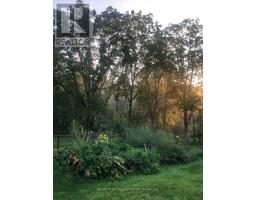 9 MILL ROAD - 46