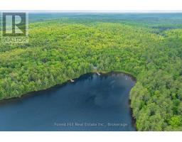 1274 SHOE LAKE ROAD - 9
