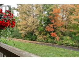 53 - 2235 BLACKWATER ROAD - 31