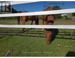 20076 CHERRYHILL ROAD - 16