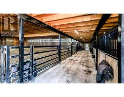 41488 LONDESBORO ROAD - 36