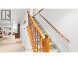 5 - 30 ANN STREET - 24