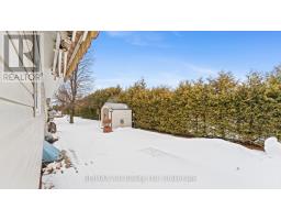 5 - 30 ANN STREET - 33