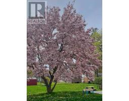 108 ALBERT STREET - 40