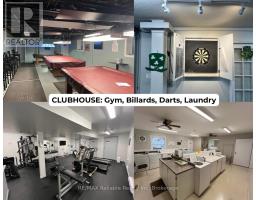 347 SHANNON BOULEVARD - 48