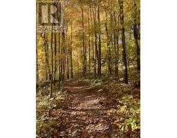 441 WOODBINE AVENUE - 43