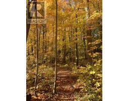 441 WOODBINE AVENUE - 44