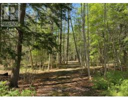 24 BAYFIELD MEWS LANE - 42